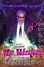 The Mysterious Mr. Wizdom (2020)