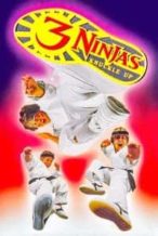 Nonton Film 3 Ninjas Knuckle Up (1994) Subtitle Indonesia Streaming Movie Download