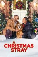 Layarkaca21 LK21 Dunia21 Nonton Film A Christmas Stray (2021) Subtitle Indonesia Streaming Movie Download