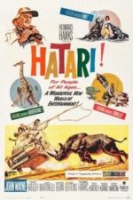 Hatari! (1962)