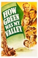 How Green Was My Valley (1941)