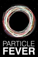 Particle Fever (2013)