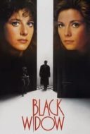 Layarkaca21 LK21 Dunia21 Nonton Film Black Widow (1987) Subtitle Indonesia Streaming Movie Download