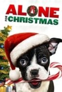 Layarkaca21 LK21 Dunia21 Nonton Film Alone for Christmas (2013) Subtitle Indonesia Streaming Movie Download