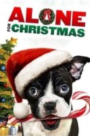 Layarkaca21 LK21 Dunia21 Nonton Film Alone for Christmas (2013) Subtitle Indonesia Streaming Movie Download