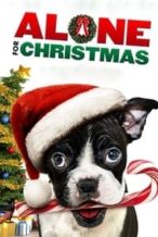 Nonton Film Alone for Christmas (2013) Subtitle Indonesia Streaming Movie Download