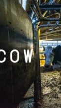 Nonton Film Cow (2022) Subtitle Indonesia Streaming Movie Download