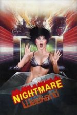 Nightmare Weekend (1986)