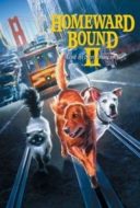 Layarkaca21 LK21 Dunia21 Nonton Film Homeward Bound II: Lost in San Francisco (1996) Subtitle Indonesia Streaming Movie Download