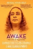 Layarkaca21 LK21 Dunia21 Nonton Film Awake: The Life of Yogananda (2014) Subtitle Indonesia Streaming Movie Download