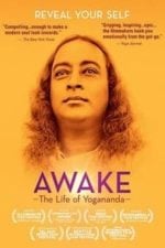 Awake: The Life of Yogananda (2014)