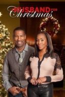 Layarkaca21 LK21 Dunia21 Nonton Film A Husband for Christmas (2016) Subtitle Indonesia Streaming Movie Download