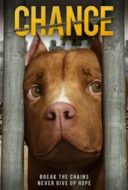 Layarkaca21 LK21 Dunia21 Nonton Film Chance (2019) Subtitle Indonesia Streaming Movie Download