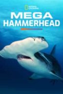 Layarkaca21 LK21 Dunia21 Nonton Film Mega Hammerhead (2016) Subtitle Indonesia Streaming Movie Download