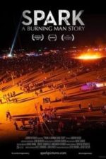 Spark: A Burning Man Story (2013)