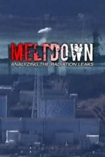 Meltdown:  Analyzing the Radiation Leaks (2014)