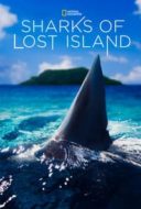 Layarkaca21 LK21 Dunia21 Nonton Film Sharks of Lost Island (2013) Subtitle Indonesia Streaming Movie Download