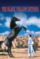 Layarkaca21 LK21 Dunia21 Nonton Film The Black Stallion Returns (1983) Subtitle Indonesia Streaming Movie Download