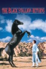 Poster Film The Black Stallion Returns (1983)
