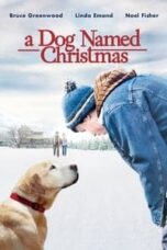 Poster Film A Dog Named Christmas (2009)
