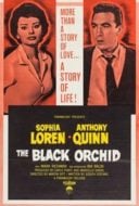 Layarkaca21 LK21 Dunia21 Nonton Film The Black Orchid (1958) Subtitle Indonesia Streaming Movie Download