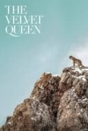 Layarkaca21 LK21 Dunia21 Nonton Film The Velvet Queen (2021) Subtitle Indonesia Streaming Movie Download