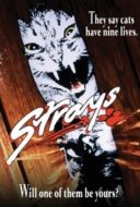 Layarkaca21 LK21 Dunia21 Nonton Film Strays (1991) Subtitle Indonesia Streaming Movie Download