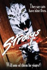 Poster Film Strays (1991)