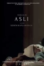 Commitment Aslı (2019)