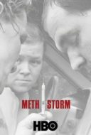 Layarkaca21 LK21 Dunia21 Nonton Film Meth Storm (2017) Subtitle Indonesia Streaming Movie Download