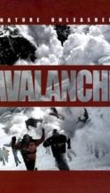 Nonton Film Nature Unleashed:  Avalanche (2004) Subtitle Indonesia Streaming Movie Download