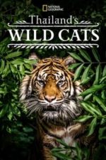 Thailand’s Wild Cats (2021)