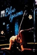 Layarkaca21 LK21 Dunia21 Nonton Film Dancing at the Blue Iguana (2001) Subtitle Indonesia Streaming Movie Download