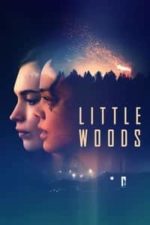 Little Woods (2019)