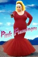 Layarkaca21 LK21 Dunia21 Nonton Film Pink Flamingos (1972) Subtitle Indonesia Streaming Movie Download