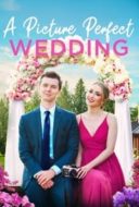 Layarkaca21 LK21 Dunia21 Nonton Film A Picture Perfect Wedding (2021) Subtitle Indonesia Streaming Movie Download