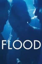 Flood (2020)