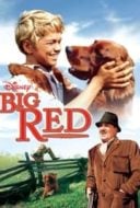 Layarkaca21 LK21 Dunia21 Nonton Film Big Red (1962) Subtitle Indonesia Streaming Movie Download