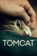 Layarkaca21 LK21 Dunia21 Nonton Film Tomcat (2016) Subtitle Indonesia Streaming Movie Download