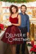 Layarkaca21 LK21 Dunia21 Nonton Film Deliver by Christmas (2020) Subtitle Indonesia Streaming Movie Download