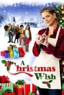 Layarkaca21 LK21 Dunia21 Nonton Film A Christmas Wish (2011) Subtitle Indonesia Streaming Movie Download