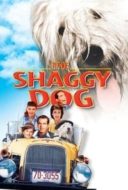 Layarkaca21 LK21 Dunia21 Nonton Film The Shaggy Dog (1959) Subtitle Indonesia Streaming Movie Download