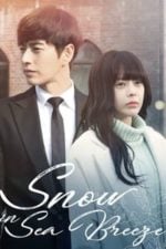 Snow In Sea Breeze (2015)