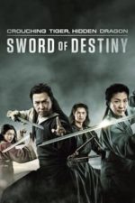 Crouching Tiger, Hidden Dragon: Sword of Destiny (2016)