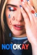 Layarkaca21 LK21 Dunia21 Nonton Film Not Okay (2022) Subtitle Indonesia Streaming Movie Download