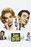 Layarkaca21 LK21 Dunia21 Nonton Film Sunday in New York (1963) Subtitle Indonesia Streaming Movie Download