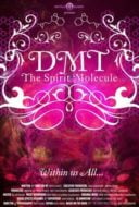 Layarkaca21 LK21 Dunia21 Nonton Film DMT: The Spirit Molecule (2010) Subtitle Indonesia Streaming Movie Download