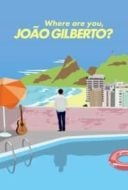 Layarkaca21 LK21 Dunia21 Nonton Film Where Are You, João Gilberto? (2018) Subtitle Indonesia Streaming Movie Download