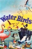 Layarkaca21 LK21 Dunia21 Nonton Film Water Birds (1952) Subtitle Indonesia Streaming Movie Download