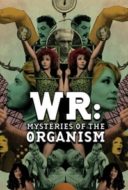 Layarkaca21 LK21 Dunia21 Nonton Film WR: Mysteries of the Organism (1971) Subtitle Indonesia Streaming Movie Download